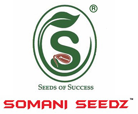 Somani Seedz